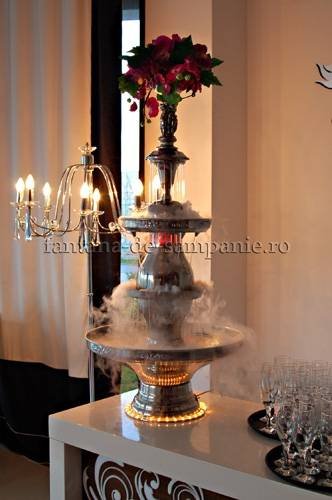  Profile Photos of Fantana de Sampanie Principatele Unite 2 - Photo 5 of 6