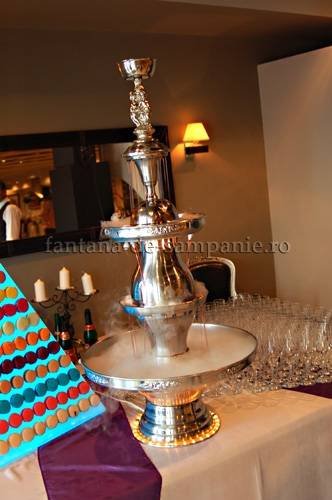  Profile Photos of Fantana de Sampanie Principatele Unite 2 - Photo 6 of 6