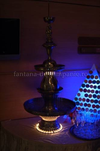 Fantana de sampanie of Fantana de Sampanie Principatele Unite 2 - Photo 58 of 87