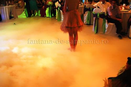  Fantana de sampanie of Fantana de Sampanie Principatele Unite 2 - Photo 7 of 87