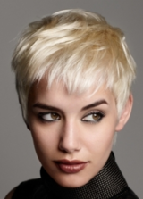  Boardroom Hairstylists 2300 Windy Ridge Parkway suite 70 