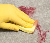  Hamilton Carpet Cleaning 125-1063 King St W 