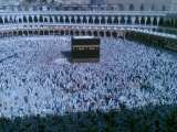 Al Hajj Travel & Tours Ltd, Leyton