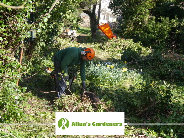  Profile Photos of Allan's Gardeners Leerdam Dr - Photo 2 of 4