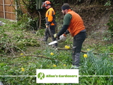 Allan's Gardeners, London