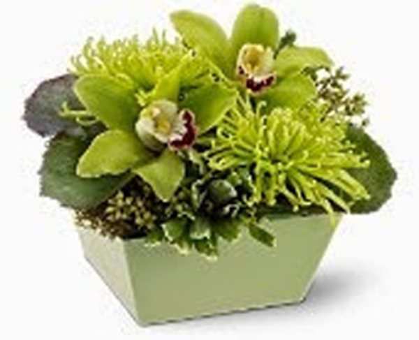 Profile Photos of Edelweiss Flower Boutique 1722 Ocean Park Blvd - Photo 6 of 9