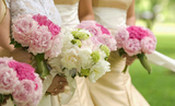 Edelweiss Flower Boutique, Santa Monica