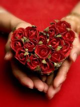 Maya Birthday Flowers & Roses in Delhi, Delhi