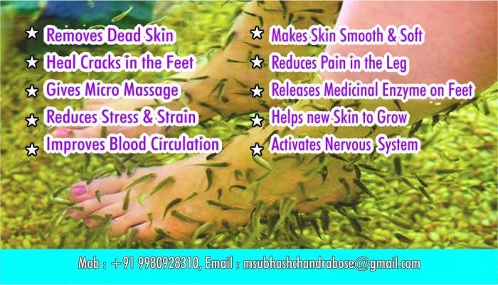  Profile Photos of doctor fish pedicure center no.181, 1st main road, sarada colony, basaveswar nagar - Photo 9 of 9