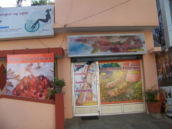  Profile Photos of doctor fish pedicure center no.181, 1st main road, sarada colony, basaveswar nagar - Photo 1 of 9