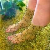  doctor fish pedicure center no.181, 1st main road, sarada colony, basaveswar nagar 