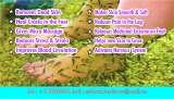 doctor fish pedicure center, bangalore