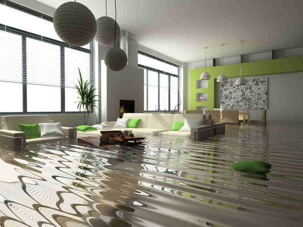  Profile Photos of Clear Sky Water Damage Brooklyn NY 231 Norman Ave #311 - Photo 4 of 5