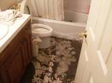 Clear Sky Water Damage Brooklyn NY, Brooklyn