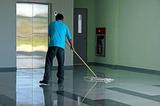  Terrific Cleaning Harold Hill 108 Petersfield Avenue 