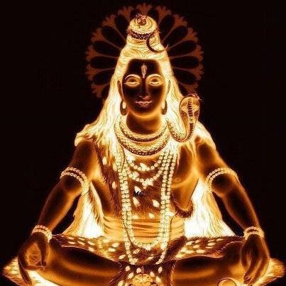  Profile Photos of Shree Ganesh Tours & Travels -Ahmedabad 114 Sarvopari Mall , Bhuyangdev 4-Rasta, Sola Road - Photo 27 of 34