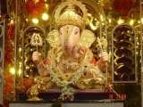  Shree Ganesh Tours & Travels -Ahmedabad 114 Sarvopari Mall , Bhuyangdev 4-Rasta, Sola Road 