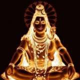  Shree Ganesh Tours & Travels -Ahmedabad 114 Sarvopari Mall , Bhuyangdev 4-Rasta, Sola Road 