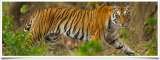  Shree Ganesh Tours & Travels -Ahmedabad 114 Sarvopari Mall , Bhuyangdev 4-Rasta, Sola Road 