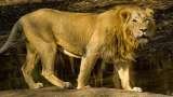  Shree Ganesh Tours & Travels -Ahmedabad 114 Sarvopari Mall , Bhuyangdev 4-Rasta, Sola Road 