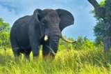 Shree Ganesh Tours & Travels -Ahmedabad 114 Sarvopari Mall , Bhuyangdev 4-Rasta, Sola Road 