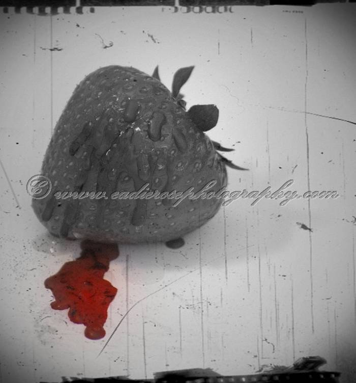  Profile Photos of eadierosephotography.com 8 Turner Avenue Lawford - Photo 4 of 9