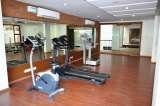 Falcons Nest Service Apartments - Gachibowli plot no 42,gayatri nest,shri shyam nagar,telecom nagar colony,gachibowli 
