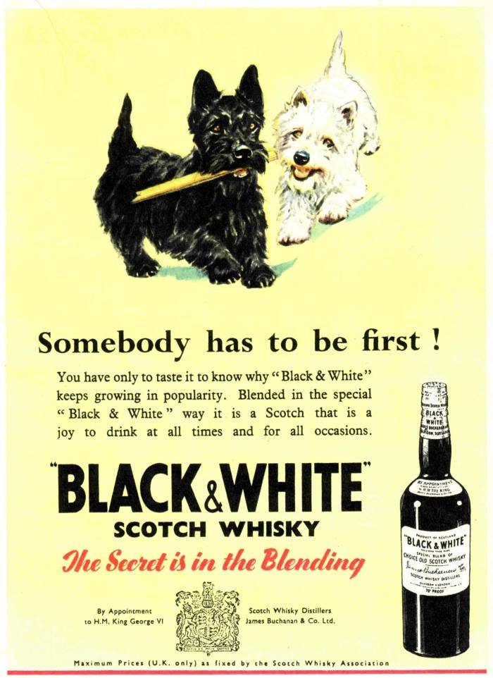 The Black  Nostalgic Adverts of Nostalgicadverts Spanslade road - Photo 7 of 18