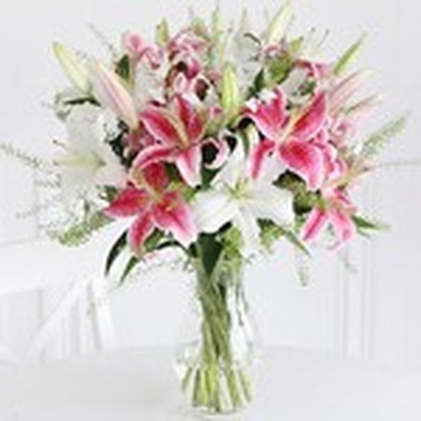 Profile Photos of Maya Flowers in Kolkata 29, Allenby Rd, Opposite Forum Shopping Mall, Near Northern Park - Photo 2 of 2