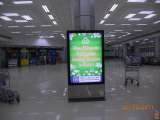  TDI International India P Limited 42, Rani Jhansi Road, 