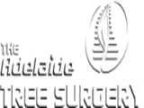 Stump Grinding Adelaide | Stump Removal Adelaide, Adelaide