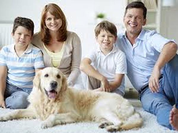  Profile Photos of Natural flea control for dogs 105, B block West Street - Photo 1 of 1