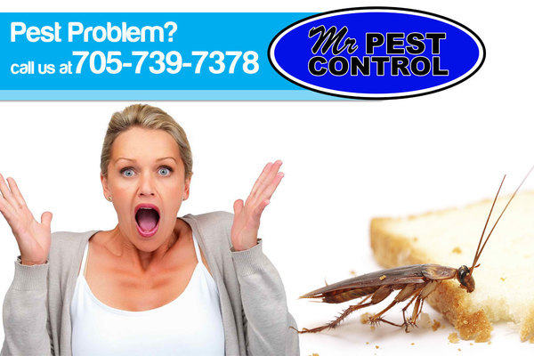  Profile Photos of Mr. Pest Control 6 Maplehill Drive - Photo 8 of 10