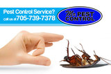 Mr. Pest Control, Shanty Bay