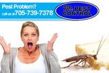 Mr. Pest Control, Shanty Bay