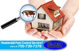 Mr. Pest Control, Shanty Bay