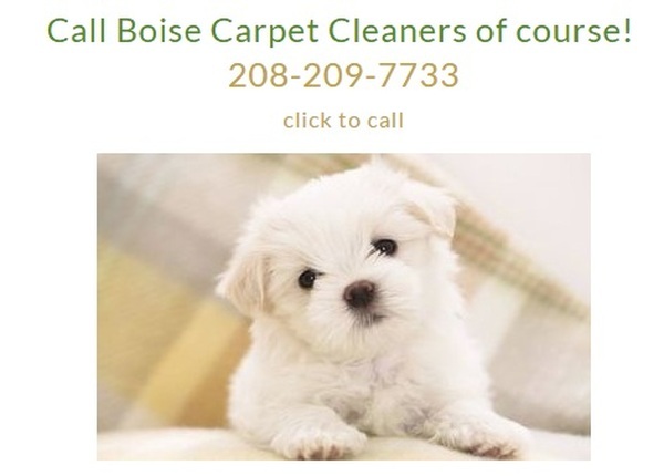  Profile Photos of Boise's Carpet Cleaners 1553 N Milwaukee St. Suite 283 - Photo 1 of 6