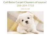  Boise's Carpet Cleaners 1553 N Milwaukee St. Suite 283 