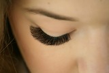  Volume Lash Training 11852 Bradburn Blvd 