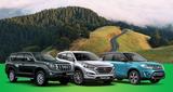Travelcar Rent A Car in Yerevan, Yerevan