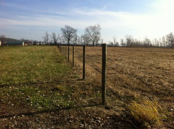  Profile Photos of Custom Fence Company 2265 reum rd - Photo 35 of 49