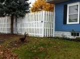 8' treated wood shadowbox fence installed in Lakeville, IN, Custom Fence Company, south bend