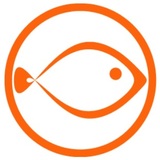 Little Fish Services, Burgess Hill