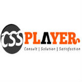 Cssplayer IT Solutions Pvt. Ltd., Faridabad