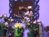                    , Garies Hotel and Restaurant, Garies