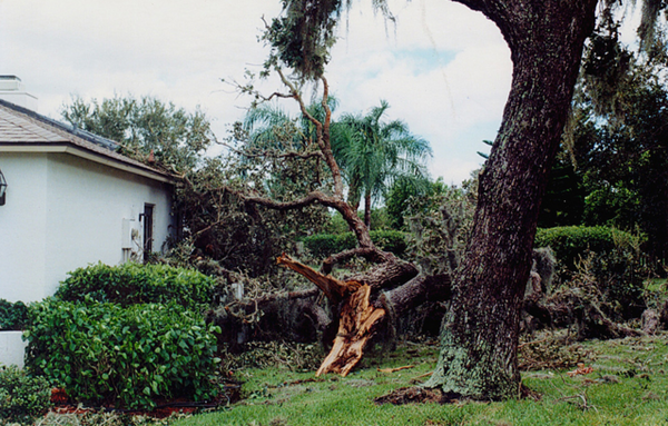  Profile Photos of Milton Tree Care 980 Birmingham Rd #501 - Photo 2 of 4