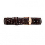  Carpal Watch LLP 35 Selegie Road #B1-20 Parklane Shopping Mall 