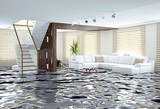 Water damage clean up service, Broward Water Damage Pros, Hollywood
