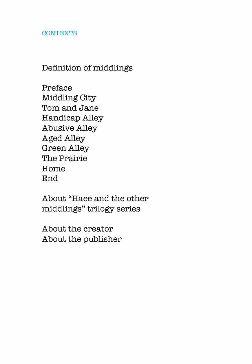  Pricelists of Middling Industries 14 Robinson Road #08-01A - Photo 126 of 138