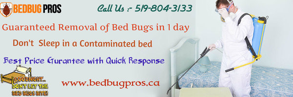  Profile Photos of Bed Bug Pros 341 Traynor Ave Unit 110 Kitchener - Photo 3 of 3
